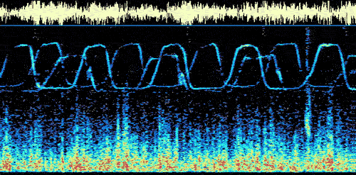 Spectrogram image